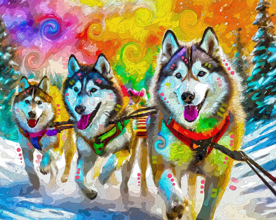 Working Huskies