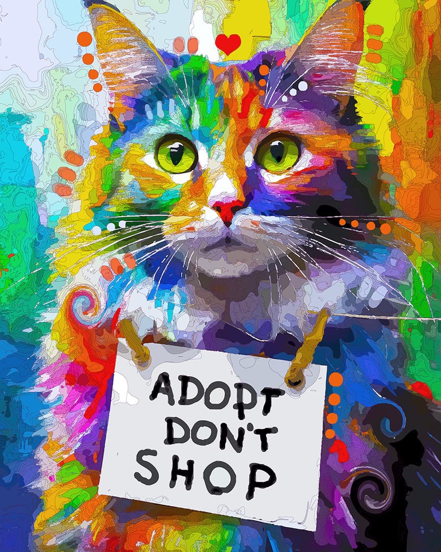 Adopt Sign Cat