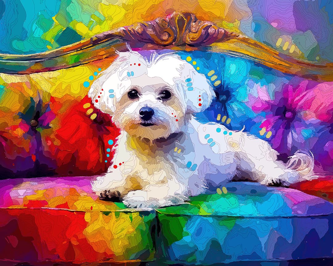 Sitting Pretty Maltese