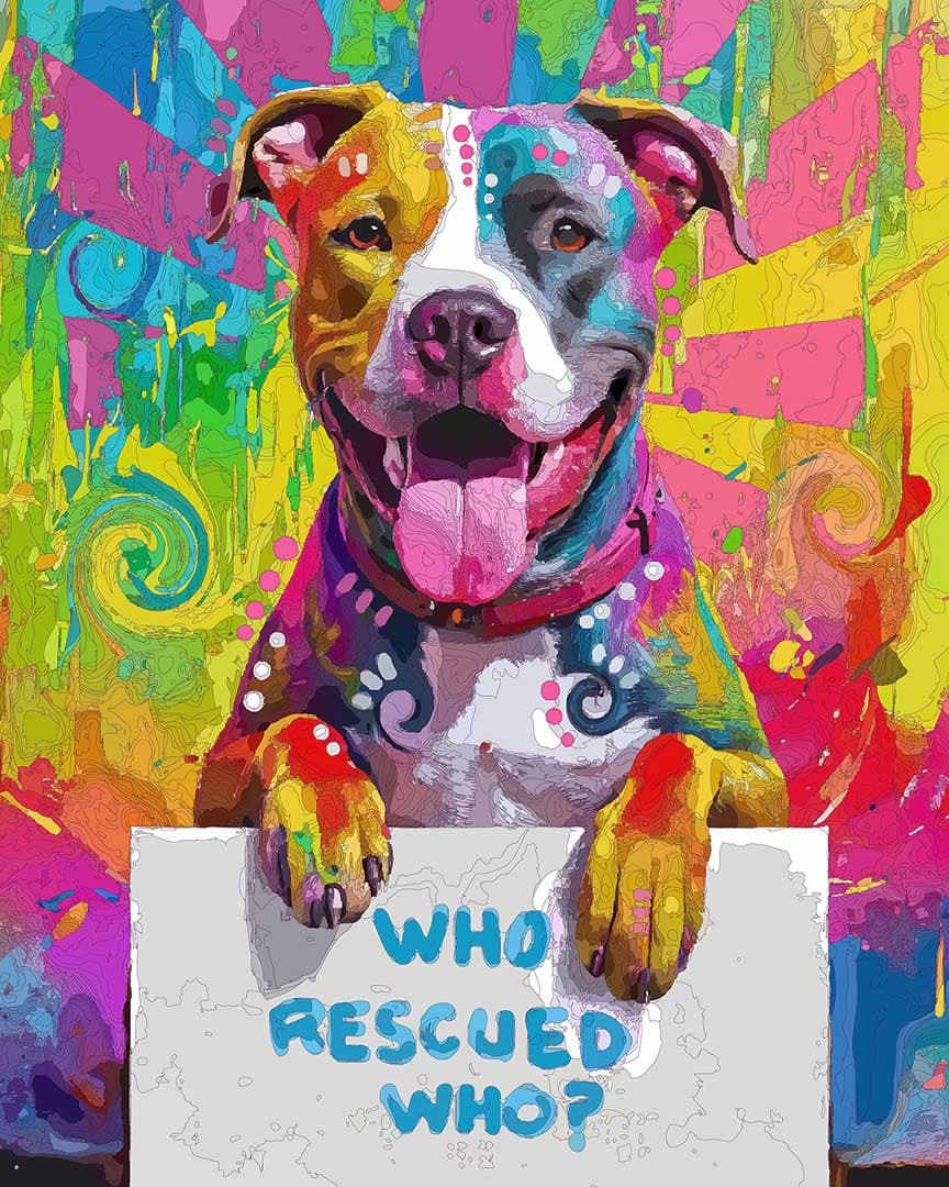 Rescued Pittie