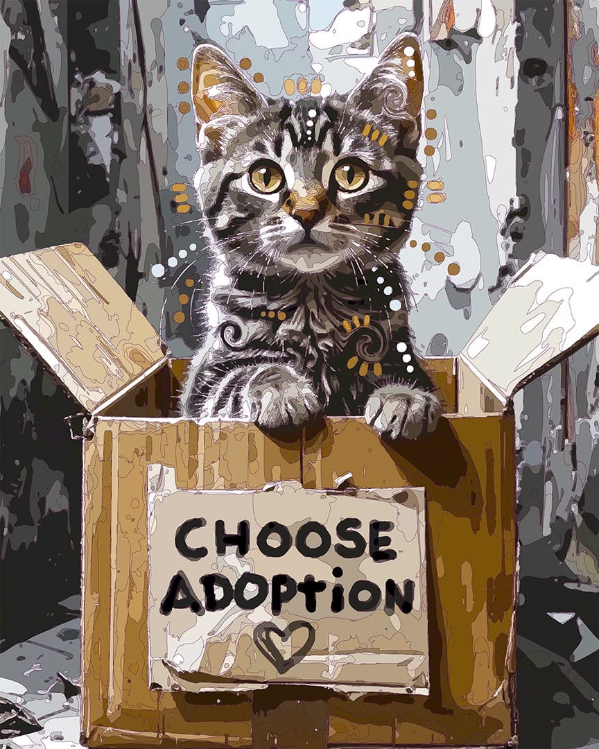 Little Adoption Tabby